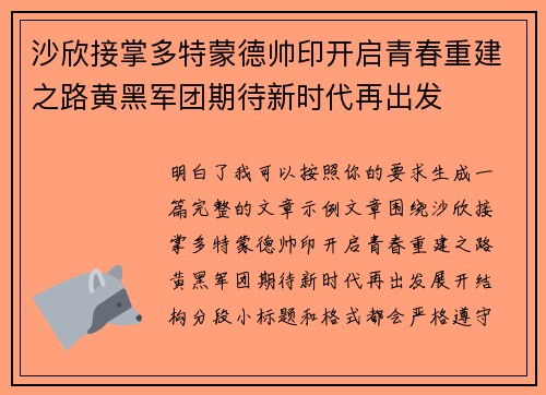 沙欣接掌多特蒙德帅印开启青春重建之路黄黑军团期待新时代再出发 沙欣接掌多特蒙德帅印开启青春重建之路黄黑军团期待新时代再出发